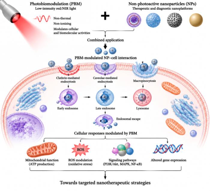 Integration of photobiomodulation and nanomedicine: Recent advances and possible mechanisms for non-photoactive nanoparticles