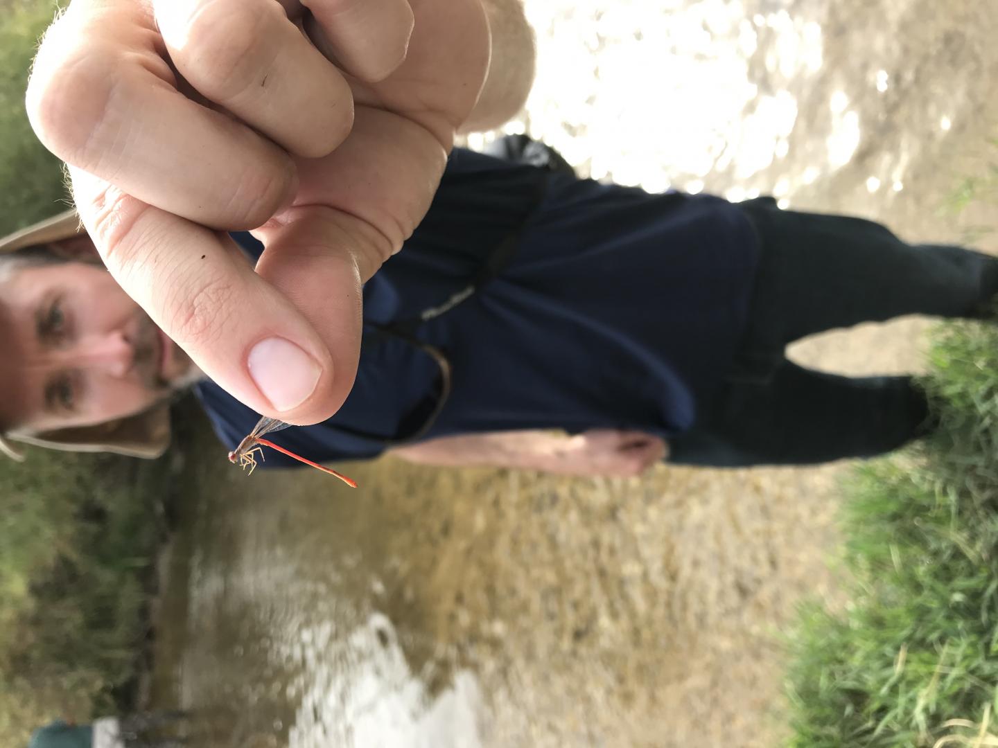 One of the Researchers Holding a Dragonfly