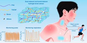 Schematic illustration of the dual-network MXene hydrogel sensor with multifunctional properties for wearable cardiorespiratory monitoring under hot and humid conditions.