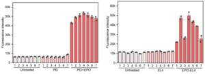 [Figure 4] The actual process of blood direct PCR and an example of when they are detected and visually confirmed.