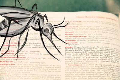 Dengue