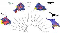 Research reveals unexpected insights into early dinosaur's brain, eating habits and agility