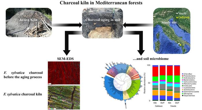 Biochar aging, soil microbiota and chemistry of charcoal kilns in Mediterranean forests