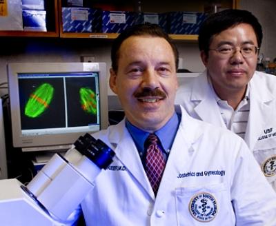 USF Researchers
