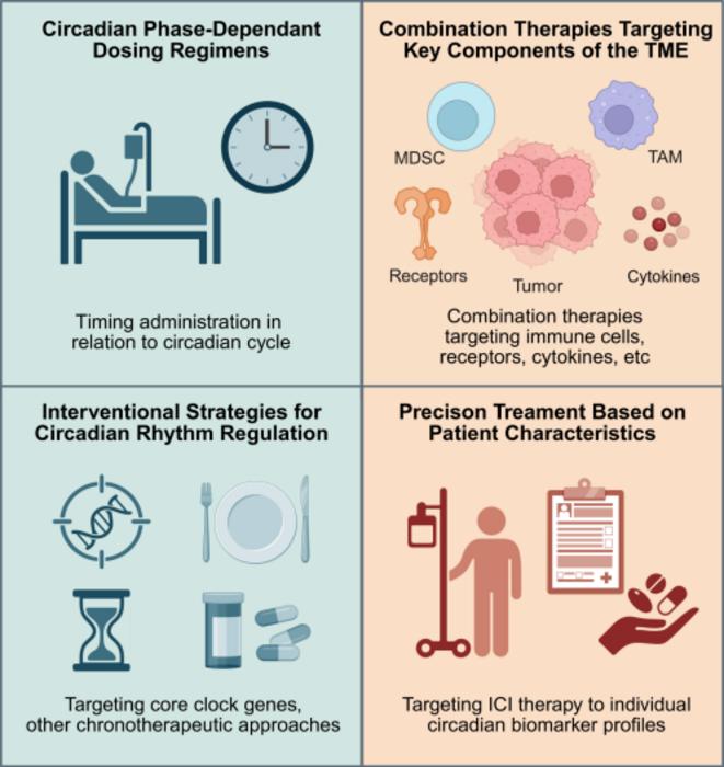 Circadian-Based Optimization of ICI Therapy