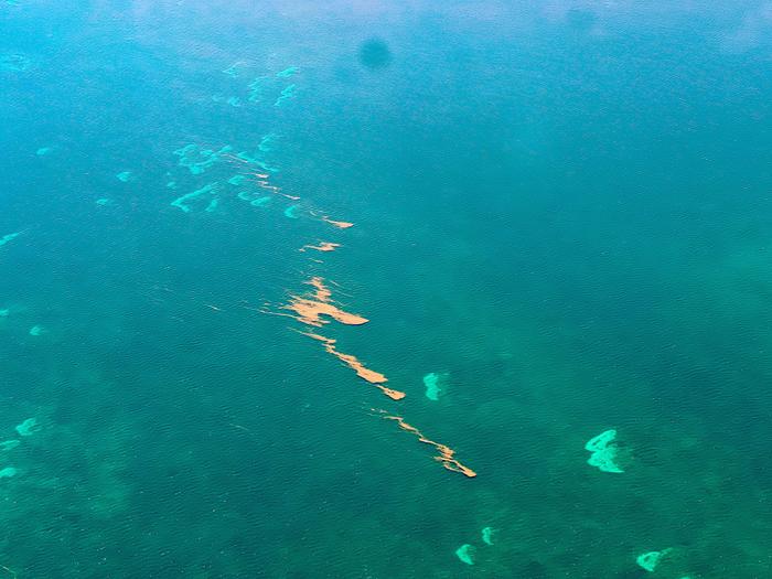 Tracing the origin of tropical North Atlantic Sargassum blooms to West Africa