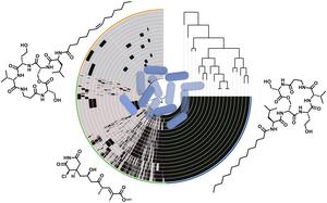Pangenome analysis of Pseudomonas syringae strain