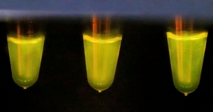 Turning up the heat to unlock Cas13's potential