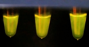 Turning up the heat to unlock Cas13's potential