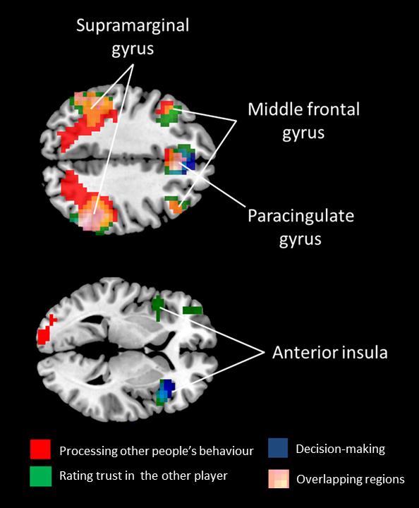 MDMA Cooperation
