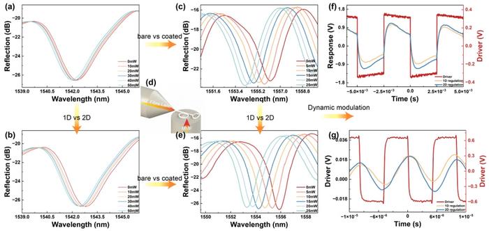 Figure 1 | Comparison of 1D vs. 2D thermo-optic modulation with and without QD coating.