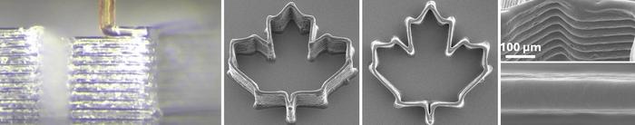 3D print of a maple leaf at multiple resolutions