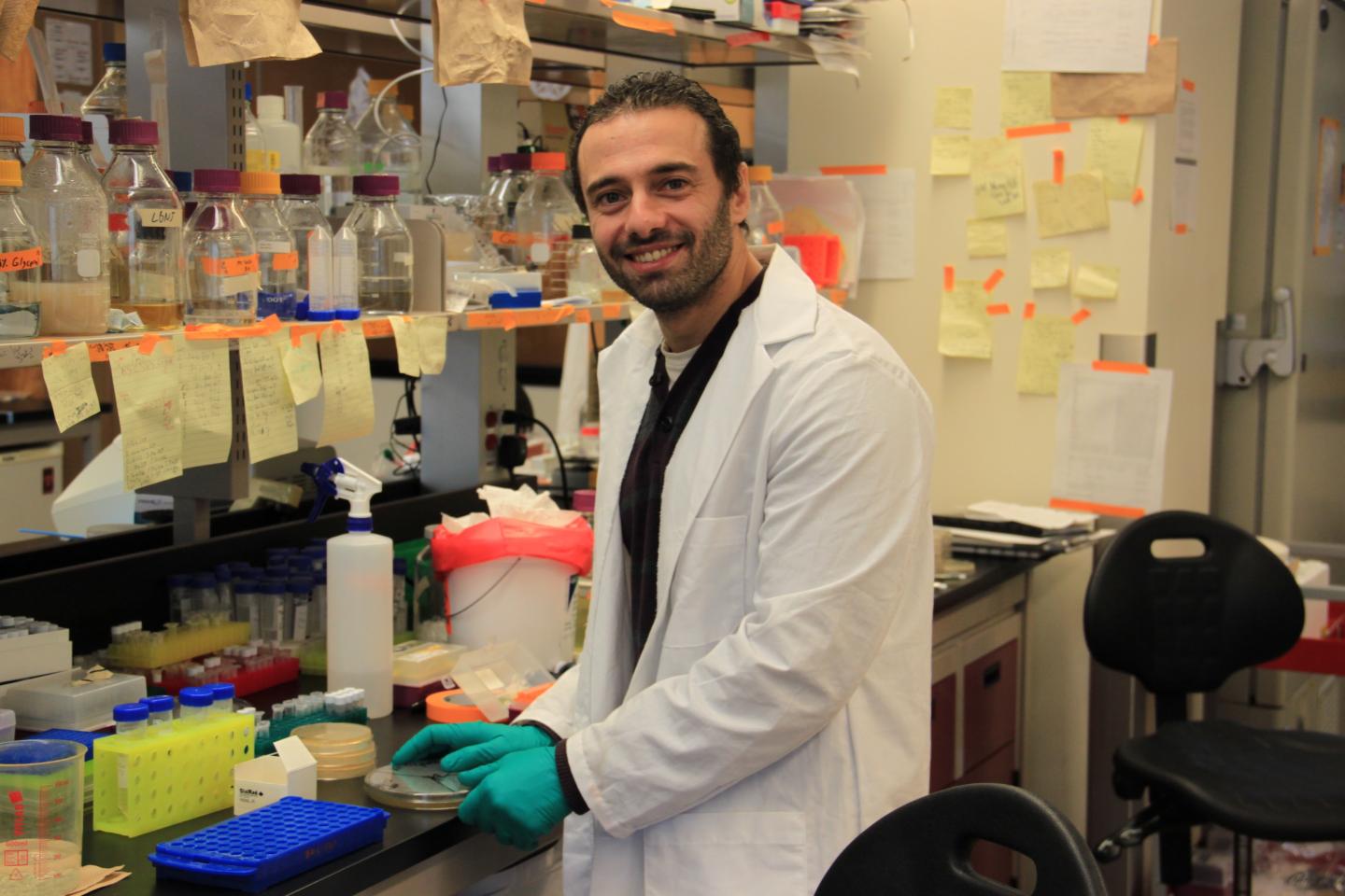 Wael Elhenawy , McMaster University