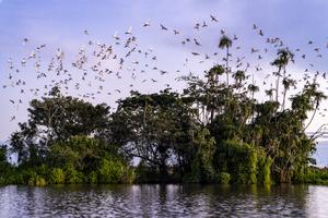 Beni Biosphere Reserve (Bolivia)