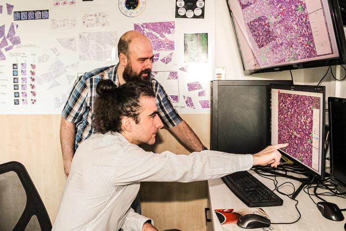 Ede Migh and András Kriston analyze histological images