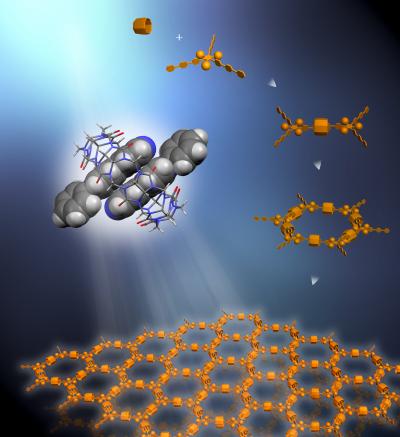 Supramolecular Organic Frameworks