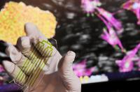 Microfluidic Device for Stem Cell Separation