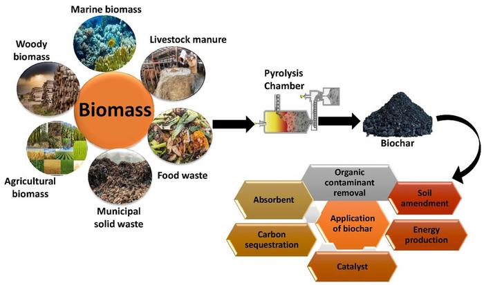 Biochar and carbon-negative technologies: exploring opportunities for climate change mitigation