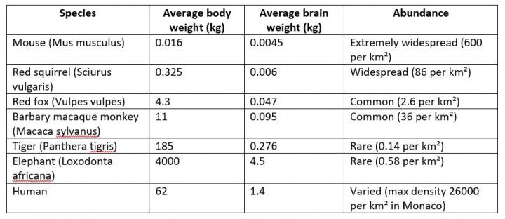 Species examples table