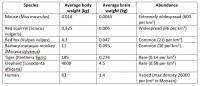 Species examples table