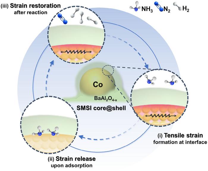 Advanced cobalt-based catalysts boost efficiency in hydrogen fuel cell vehicles and cut costs