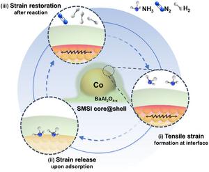 Advanced cobalt-based catalysts boost efficiency in hydrogen fuel cell vehicles and cut costs