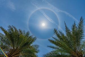 A Sun halo
