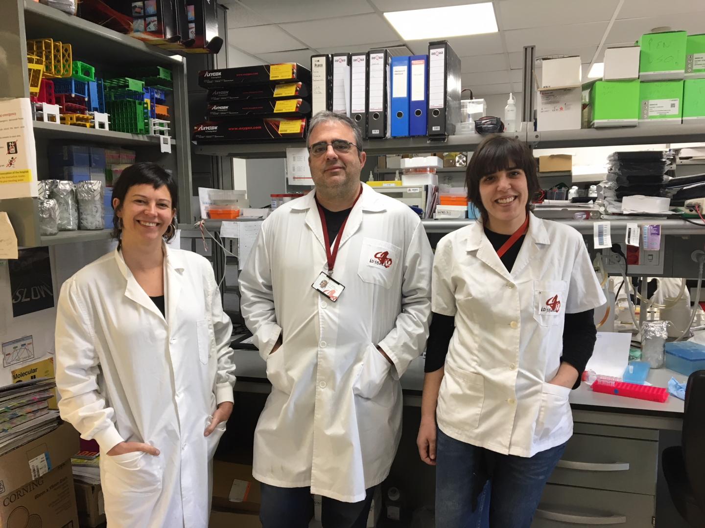 Research team