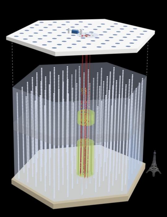 Schematic representation of the underground part of the​​​​​​ IceCube experiment with the addition of the upgrade (red).