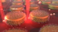 Inside the Chip