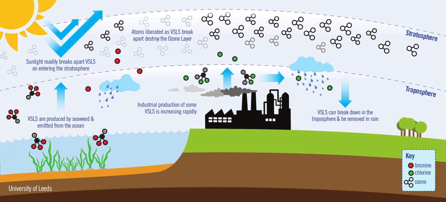 Very Short-Lived Substances in the Atmosphere
