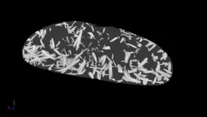 X-ray computed tomography of crystals in  Gallium