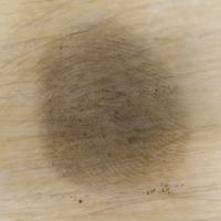 Ivory Fingerprint