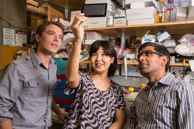 Drug Blocks Light Sensors in Eye that May Trigger Migraine Attacks