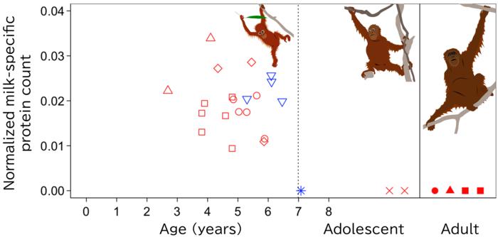 Age change in the normalized counts of breast milk-specific proteins