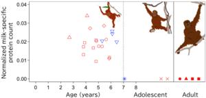 Age change in the normalized counts of breast milk-specific proteins