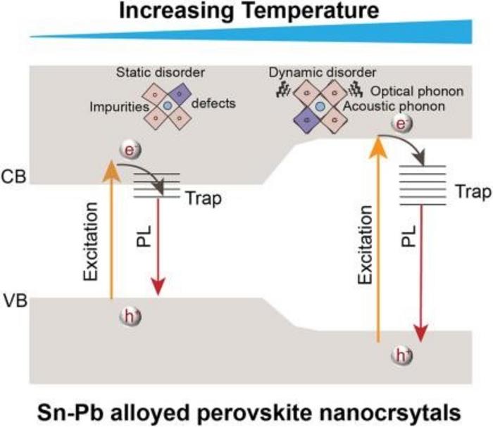 Visualizing Disorder-Induced Photoluminescence Quenching in Sn–Pb Perovskites