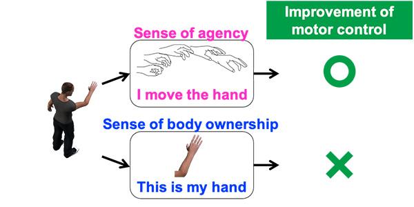 Using VR Training to Boost Our Sense of Agency and Improve Motor Control