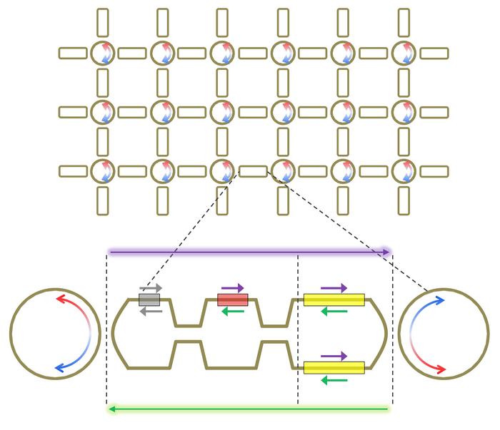 Figure 1. Non-Abelian photonic integrated circuit developed in this study, in which couplings between optical devices are implemented for the first time in the form of fully programmable matrix-valued operations.