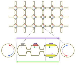 Figure 1. Non-Abelian photonic integrated circuit developed in this study, in which couplings between optical devices are implemented for the first time in the form of fully programmable matrix-valued operations.