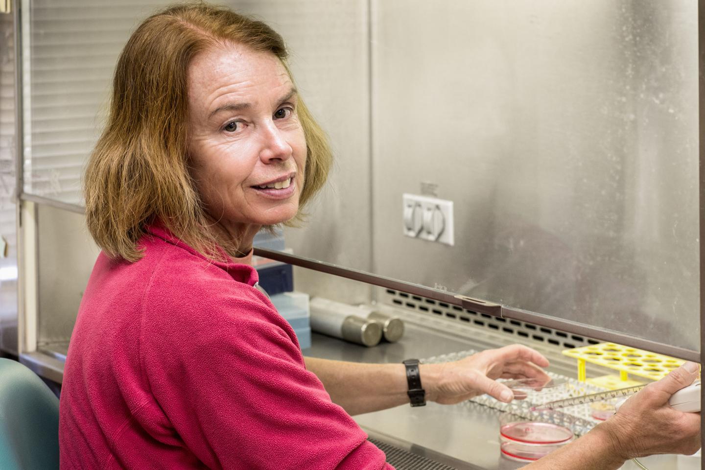 Pamela Maher, Salk Institute 