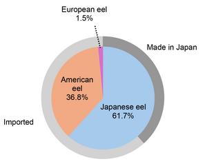 Figure 3. The species composition of eel products obtained in the Japanese market.