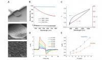 3DFG Electrodes