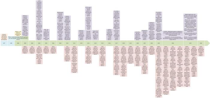 Milestone Events in EGFR-TKI Therapy for NSCLC (2000–2026)