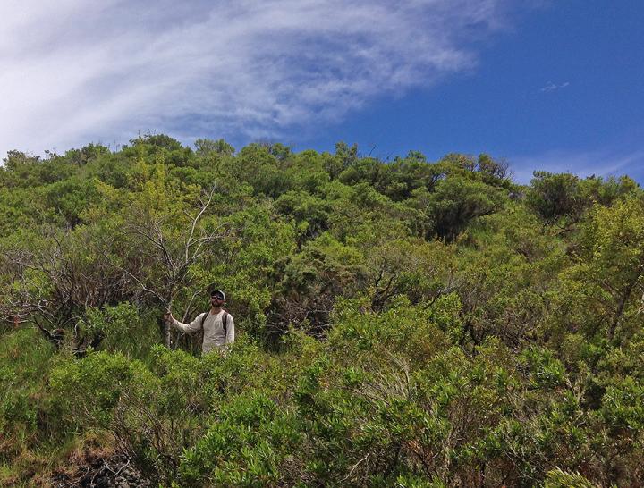 Kanaio NAR on Maui