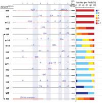 14 Ways to Slice a Tomato (Gene Promoter)
