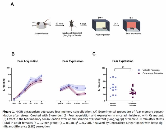 Nk3R antagonism decreases fear memory consolidation.
