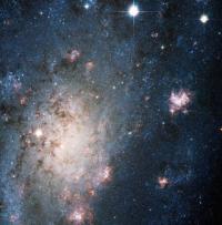 Supernova
