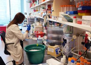 Dr. Ankit Bharat's lab