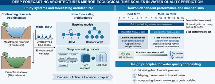 How deep-learning modules match ecological time scales for smarter water forecasts.